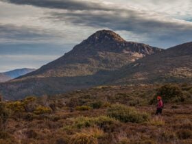 Hartz Peak - Great Short Walk