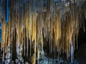 Hastings Cave