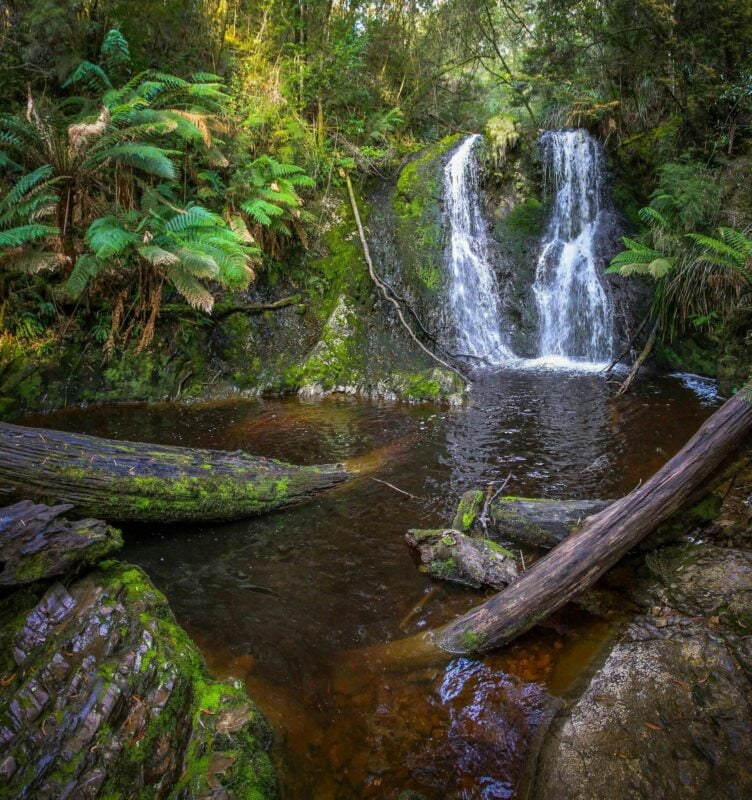 Hogarth Falls - Great Short Walk
