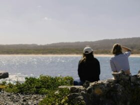 Kelp Track on King Island