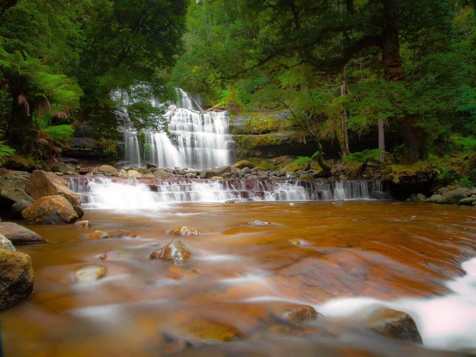 Liffey Falls Walk - Great Short Walk