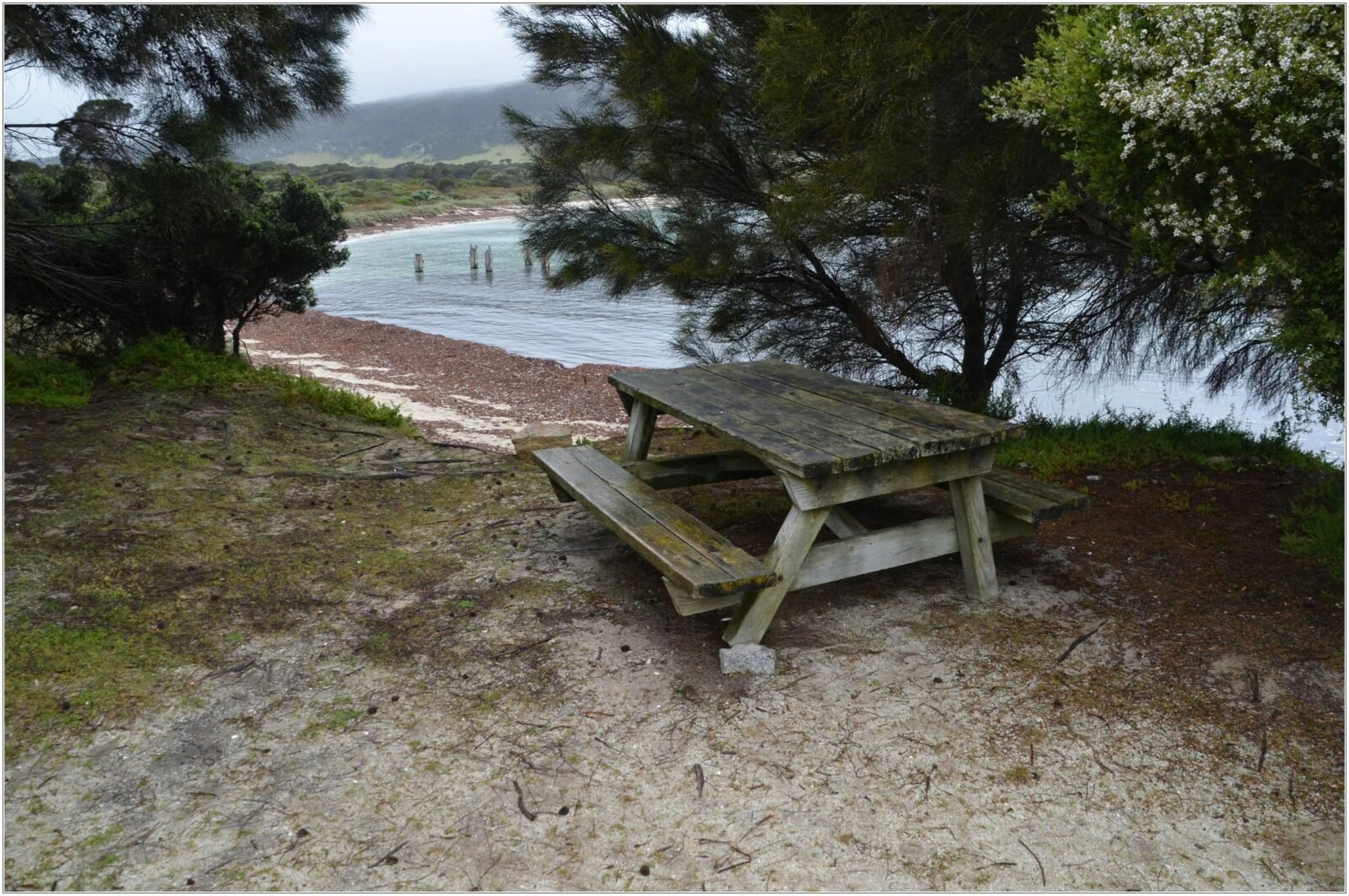 view from the picnic area Lillies Bay
