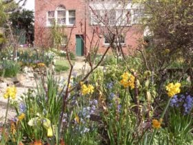 Markree from the garden