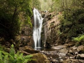 Mathinna Falls