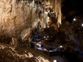 Mole Creek Karst National Park