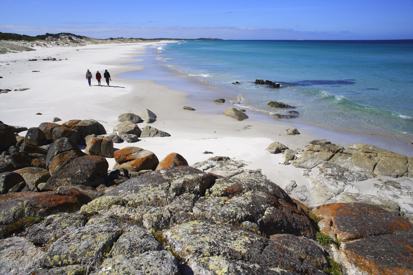 Mount William National Park