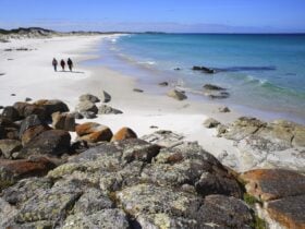 Mount William National Park