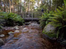 O'Neill's Creek