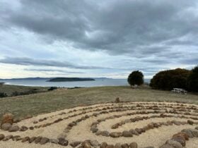 Potters Hill Walking Track 1