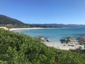 Redbill Beach, Bicheno