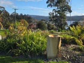 Huon River Dragonfly sculpture