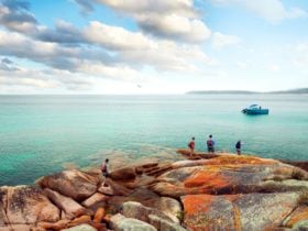 Schouten Island