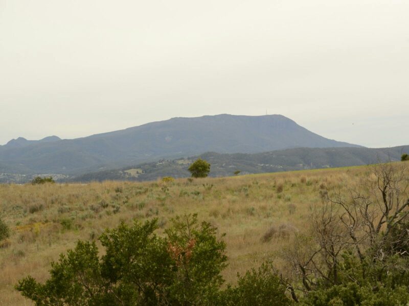 South Arm Peninsula Trail 1