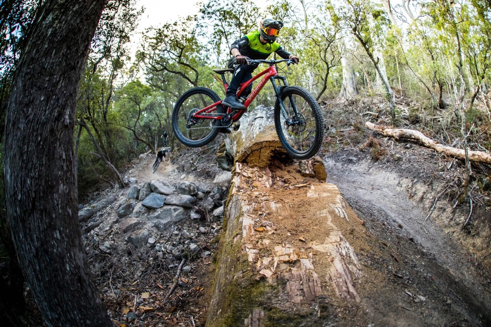 St Helens MTB Trails, St Helens, Flagstaff
