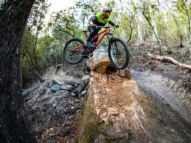 St Helens MTB Trails, St Helens, Flagstaff