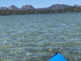 Swanwick Kayaking