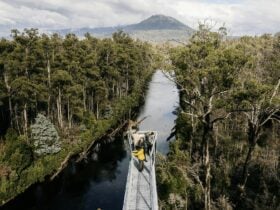 Airwalk cantilever 50 metres above the Huon river looking over the forest landscape
