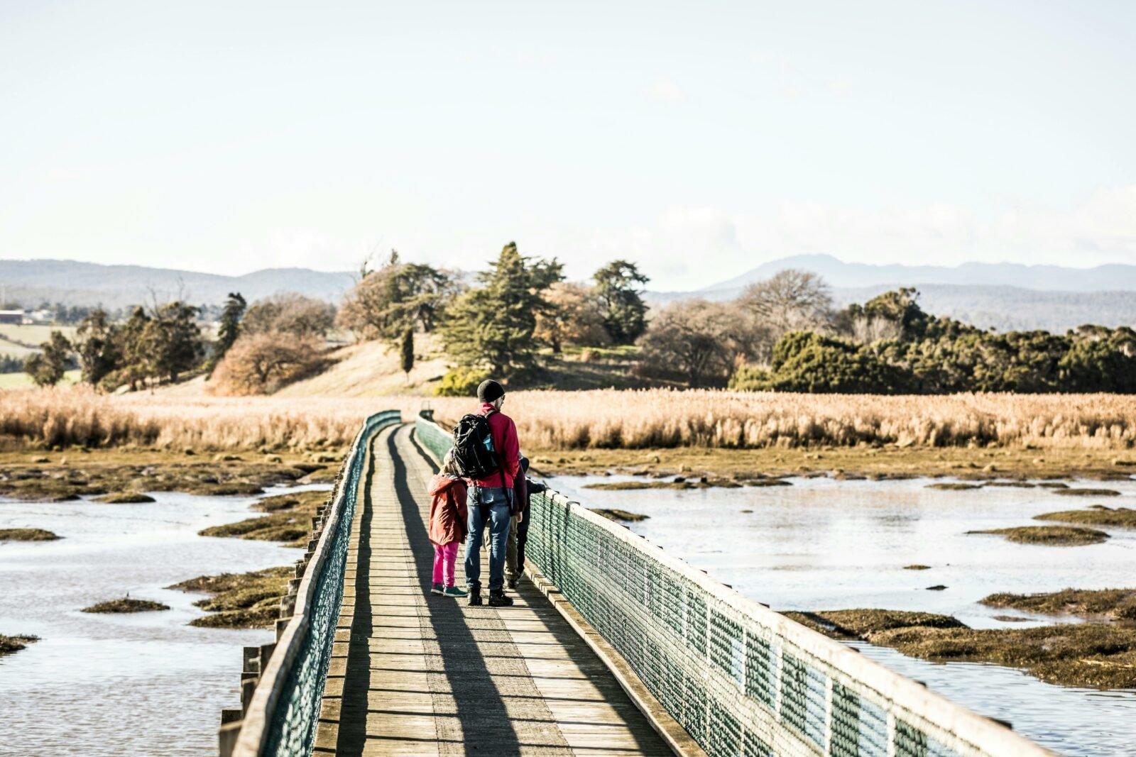 Tamar Island - Great Short Walk
