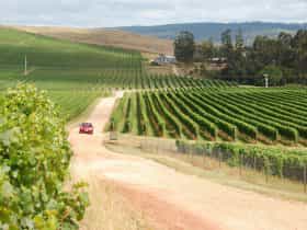 Tamar Valley Wine at Pipers Brook Vineyard