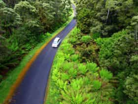 The Tarkine Drive