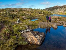 Tarn Shelf