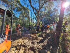 Dig Days