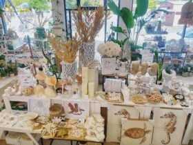 Lovely homewares and gifts in The Sea Merchant Penguin. Visually stunning homewares and gifts Beachy