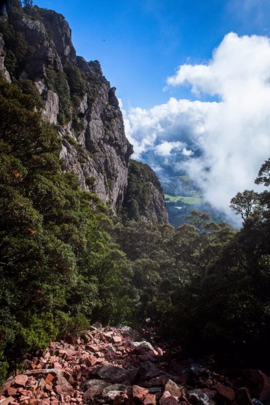 A view from Mount Roland face track