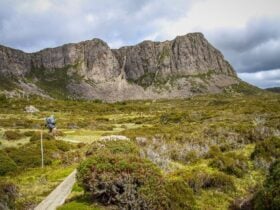 Walls of Jerusalem National Park
