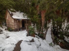 Weindorfers Forest Walk