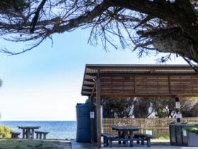 Whitemark Foreshore Picnic BBQ Area