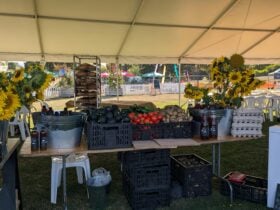 A photo of fresh produce