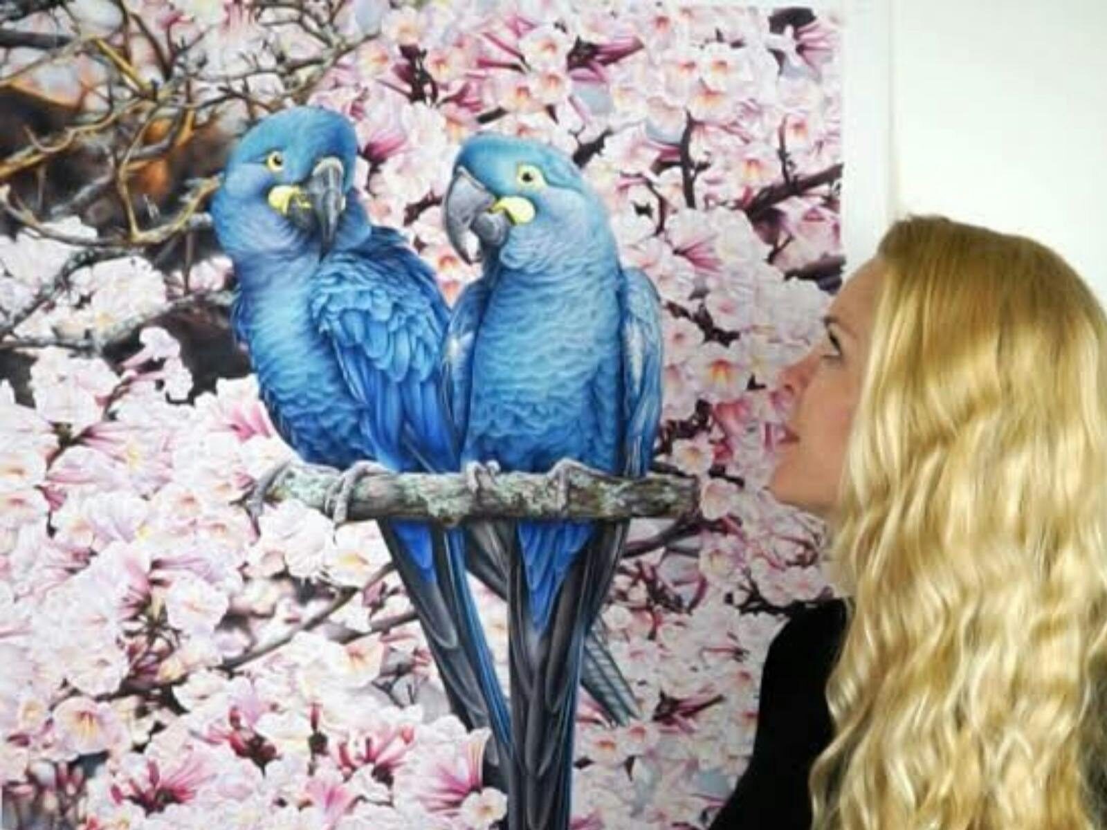 Internationally Renowned artist Heidi Willis teaching natural history watercolour at Enclave