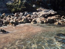 A painting of the shoreline from the water. Rocks and crystal clear water bathed in sunlight.