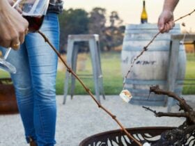 Fire Pot and Marshmallow