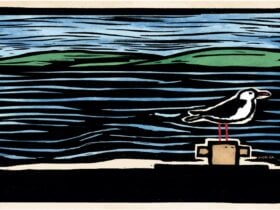 A magical night of theatre at the Playhouse Hobart