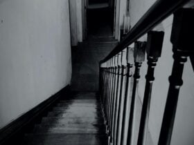 Into the basement