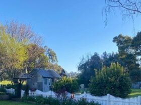 A beautiful garden in the Sheffield area.