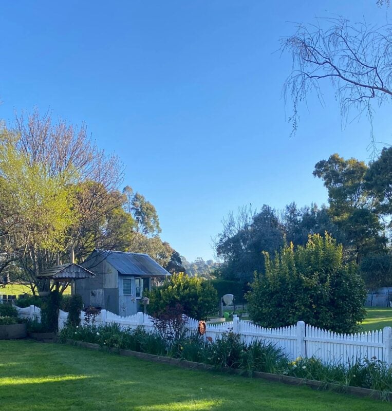 A beautiful garden in the Sheffield area.