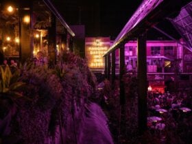A picture of In The Hanging Garden at night with a sign visible