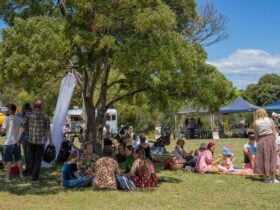 Participants at our Summer Edition market sitting under the blackwood tree.