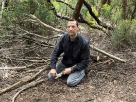 bushcraft survival emergency preparedness course australia