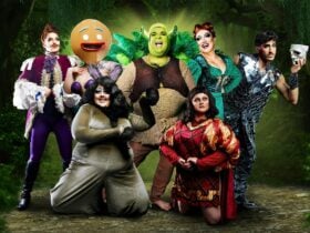 An ensemble photos of a camp, colourful, burleque troupe with fairy tale themes