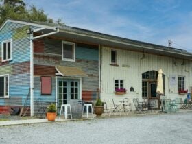 picture of rustic cellar door covered with corrugated iron panels with different colours
