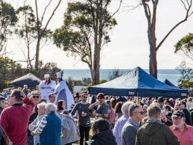 Village Green throng