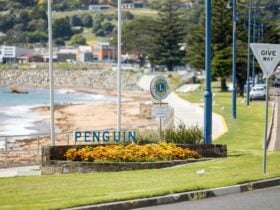 Penguin Main Street