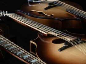 Wooden musical instrument hand crafted Tasmanian timbers
