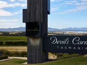 Tower overlooking vineyard and Hazards
