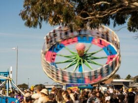 Tulip Festival rides