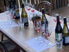 Table set with wine glasses, wines and tasting mats for Sunday School wine tasting at Westella